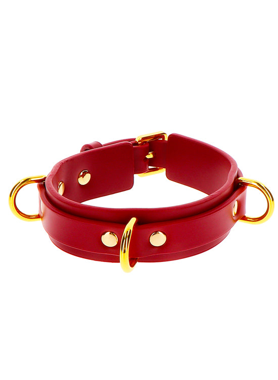 Coleira Com Argola Deluxe