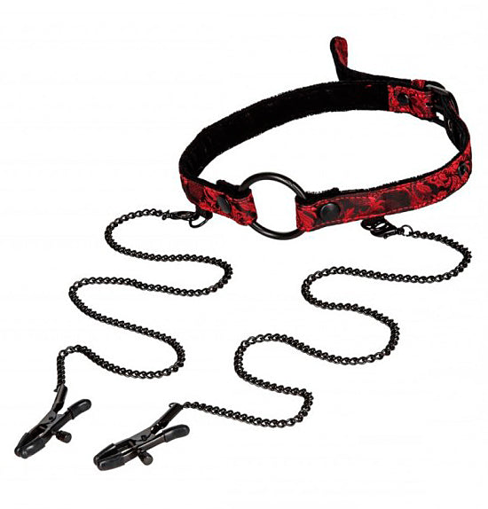 Conjunto Mordaça e Pinças