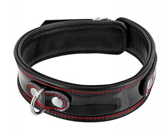 Coleira De Pele Brilhante