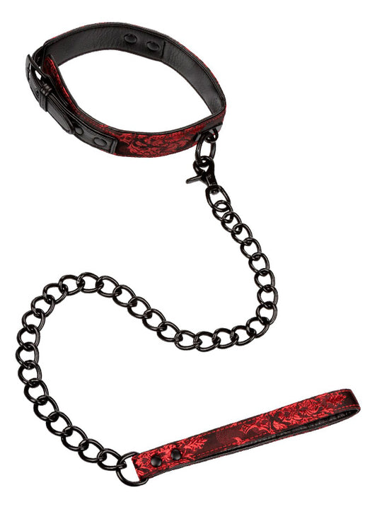 Coleira e Trela Oriental