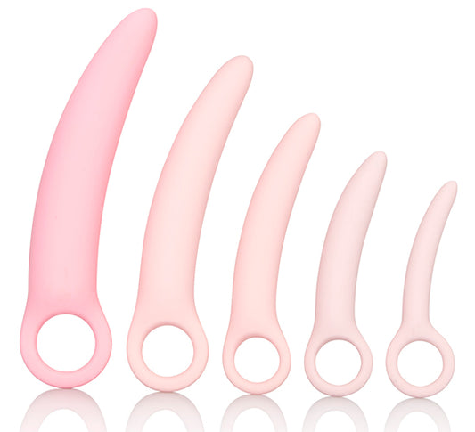 Kit Dildos Dilatadores Vaginais Inspire®