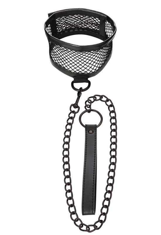 Coleira Rede & Trela