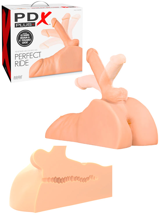 Torso Com Penis - 15cm