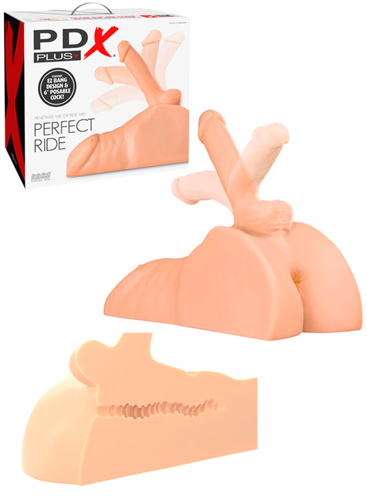 Torso Com Penis - 15cm